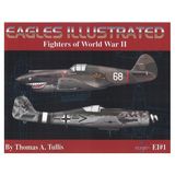 Eagles Illustrated, Vol. 1: Fighters of WWII