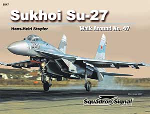 Su-27 Flanker Walk Around