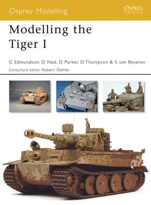 Modelling the Tiger I